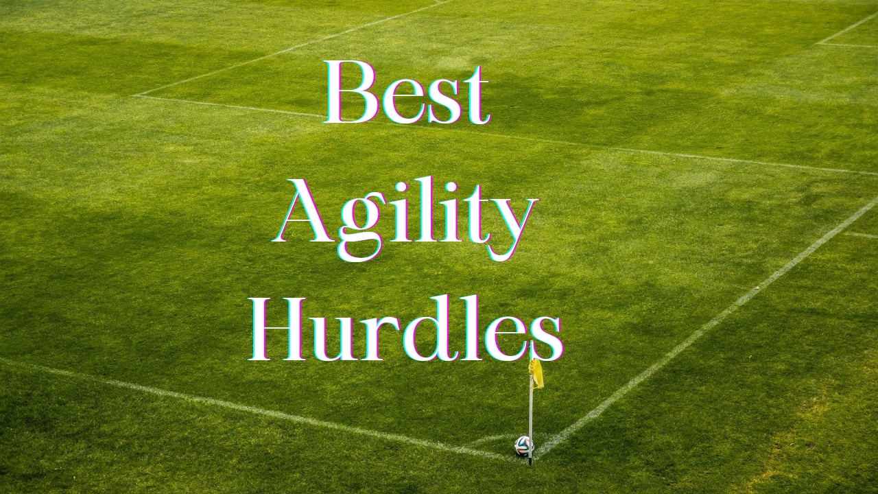 Best Agility Hurdles